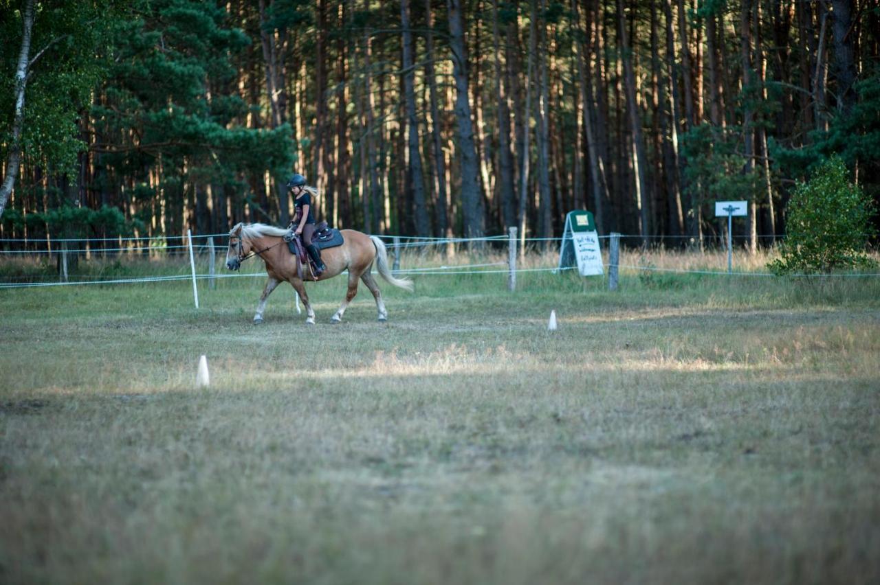 Traumhaff Denkmalgeschuetzter Amalienhof Sauna, Offener Kamin, Hund Ahlbeck  Екстериор снимка